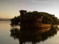 SS ayrfield - Homebush Bay Australia