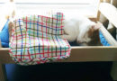 Presto all’Ikea mobili ed accessori per cani e gatti